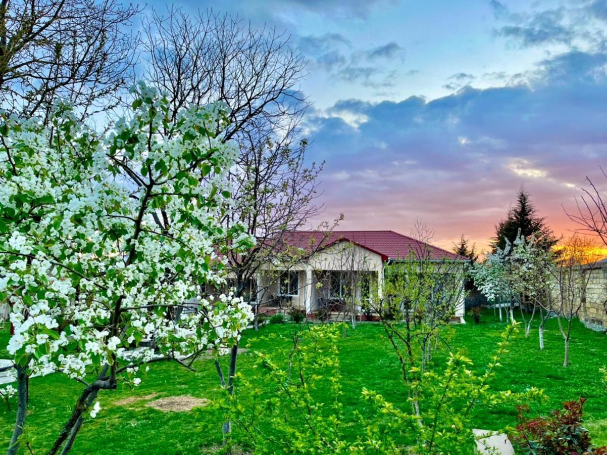 One Dom Cottage Gabala Exterior foto