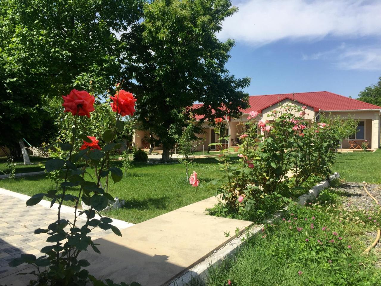 One Dom Cottage Gabala Exterior foto